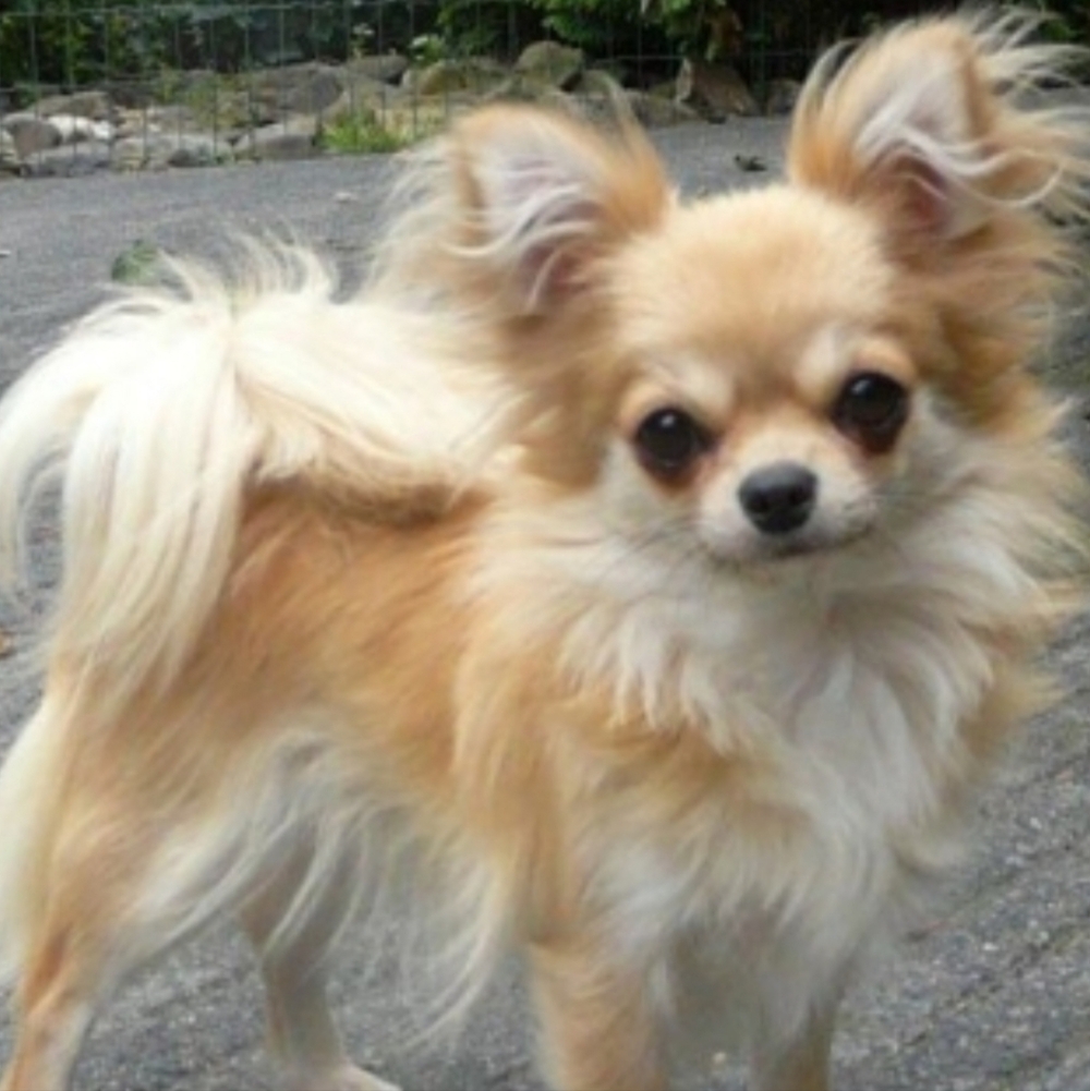 Meet your Posher, D'jay